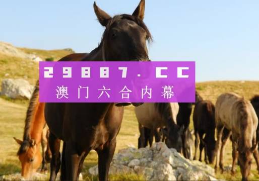 澳门管家婆一肖一码一中一|全面释义解释落实